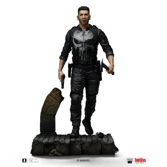 Punisher main image